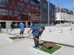 Pumovci bodo za drevesa tudi skrbeli in jih zalivali.